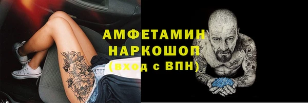 apvp Алзамай