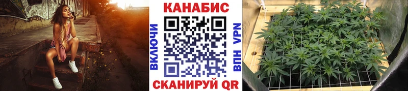 Канабис ГИДРОПОН  Купить закладки  Сковородино 